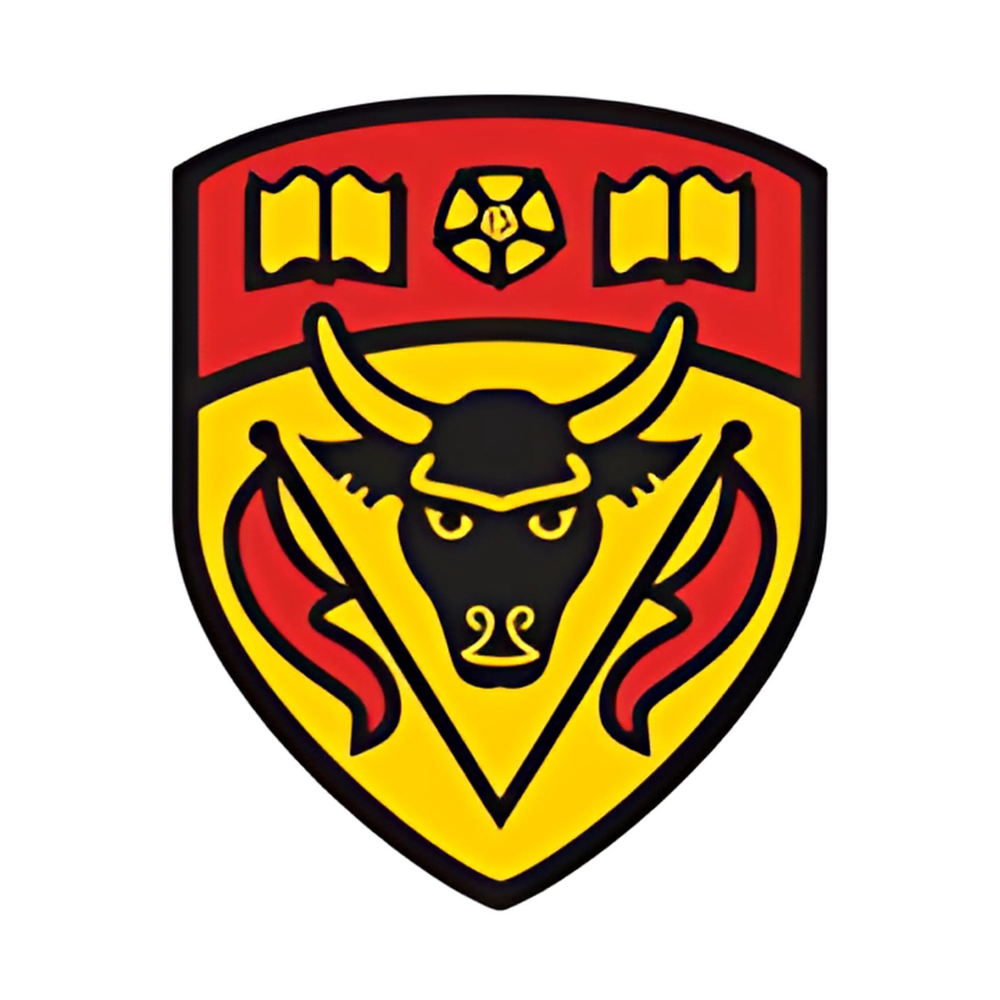 Timeline icon